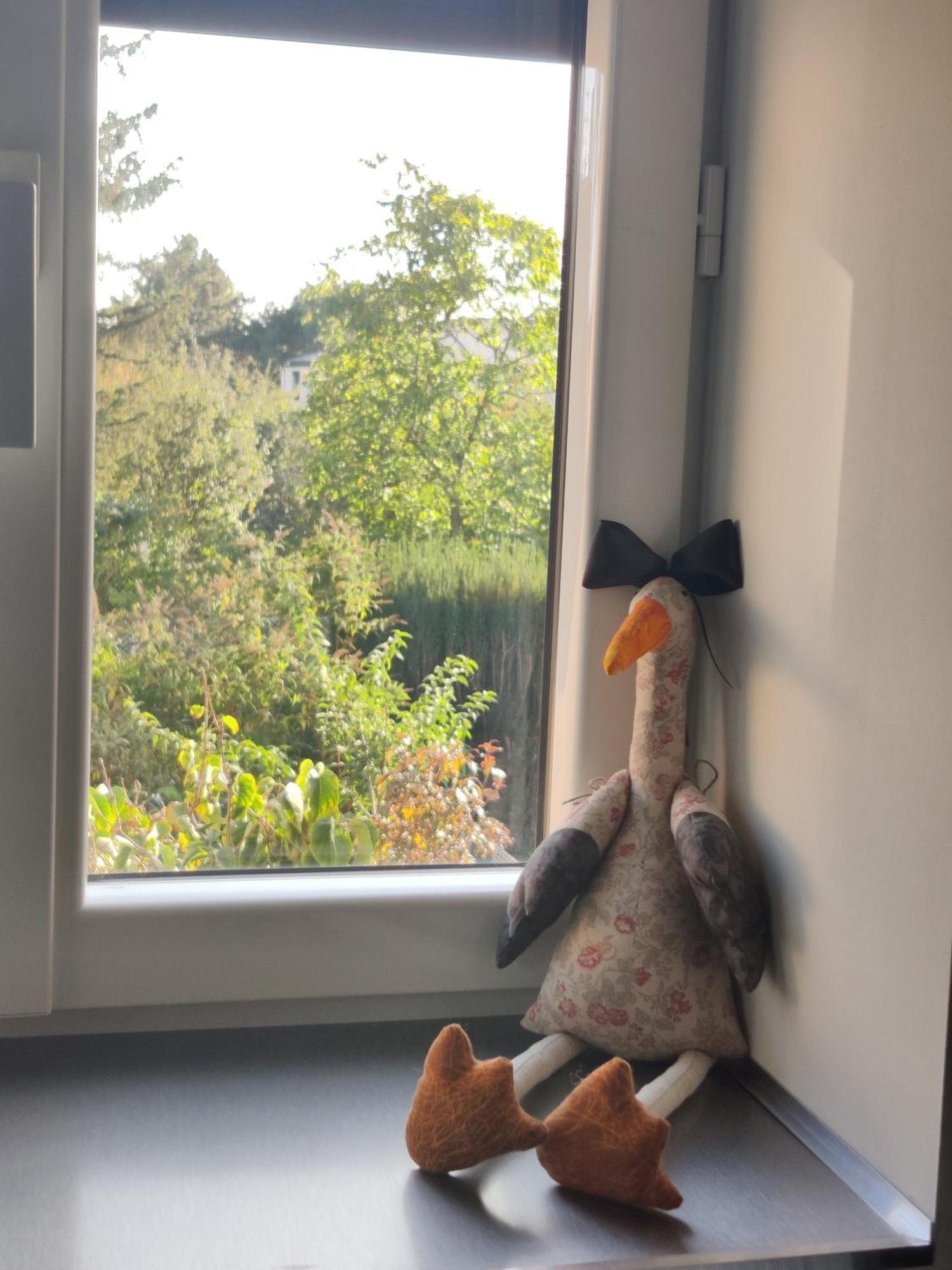 Appartement Cosy ソースハイム エクステリア 写真